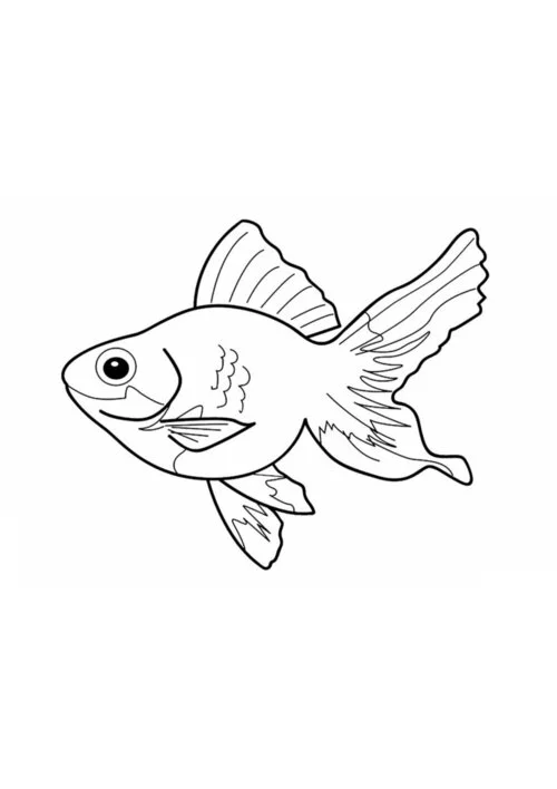 Раскраска-рыбки | Fish coloring page, Coloring for kids, Coloring pages