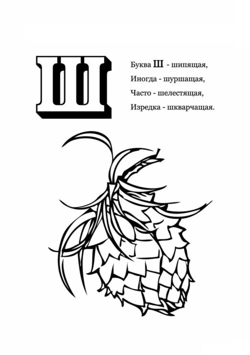 Раскраска-антистресс Шишки, 70 х 80 см купить в Москве, СПб, Новосибирске по низкой цене